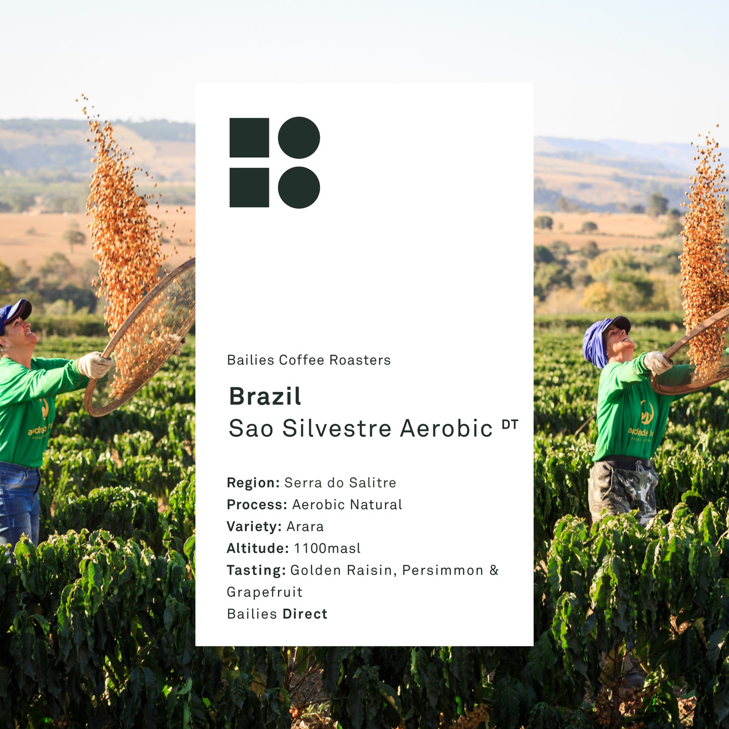 Brazil Sao Silvestre Aerobic Microlot