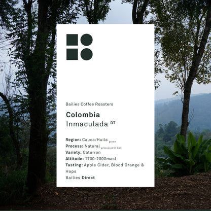 Colombia Inmaculada Natural Microlot