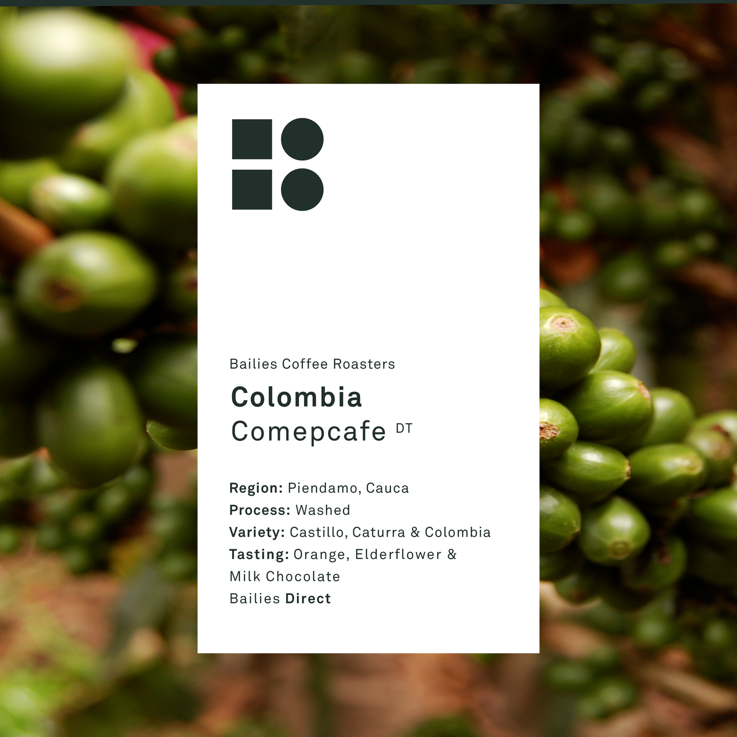 Colombia ComepCafe Washed Single Origin