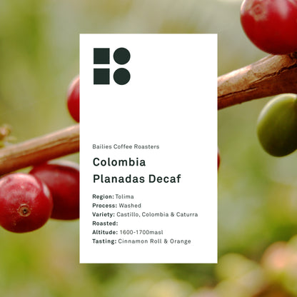 Details of Colombia Planadas Decaf. Region Grown: Tolima 
Process: Washed Method
Varieties: Castillo, Colombia & Caturra
Altitude: 1600-1700masl (metres above sea level)
Tasting: Notes of Cinnamon Roll and Orange