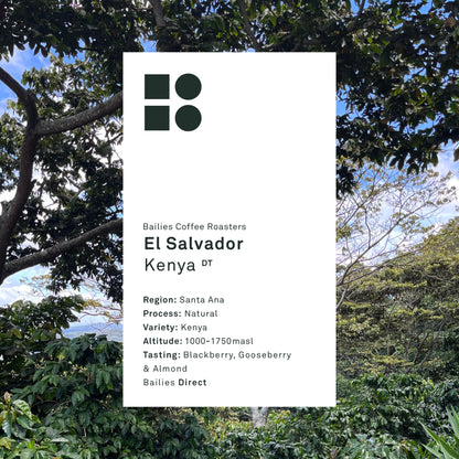 El Salvador Kenya Natural Microlot