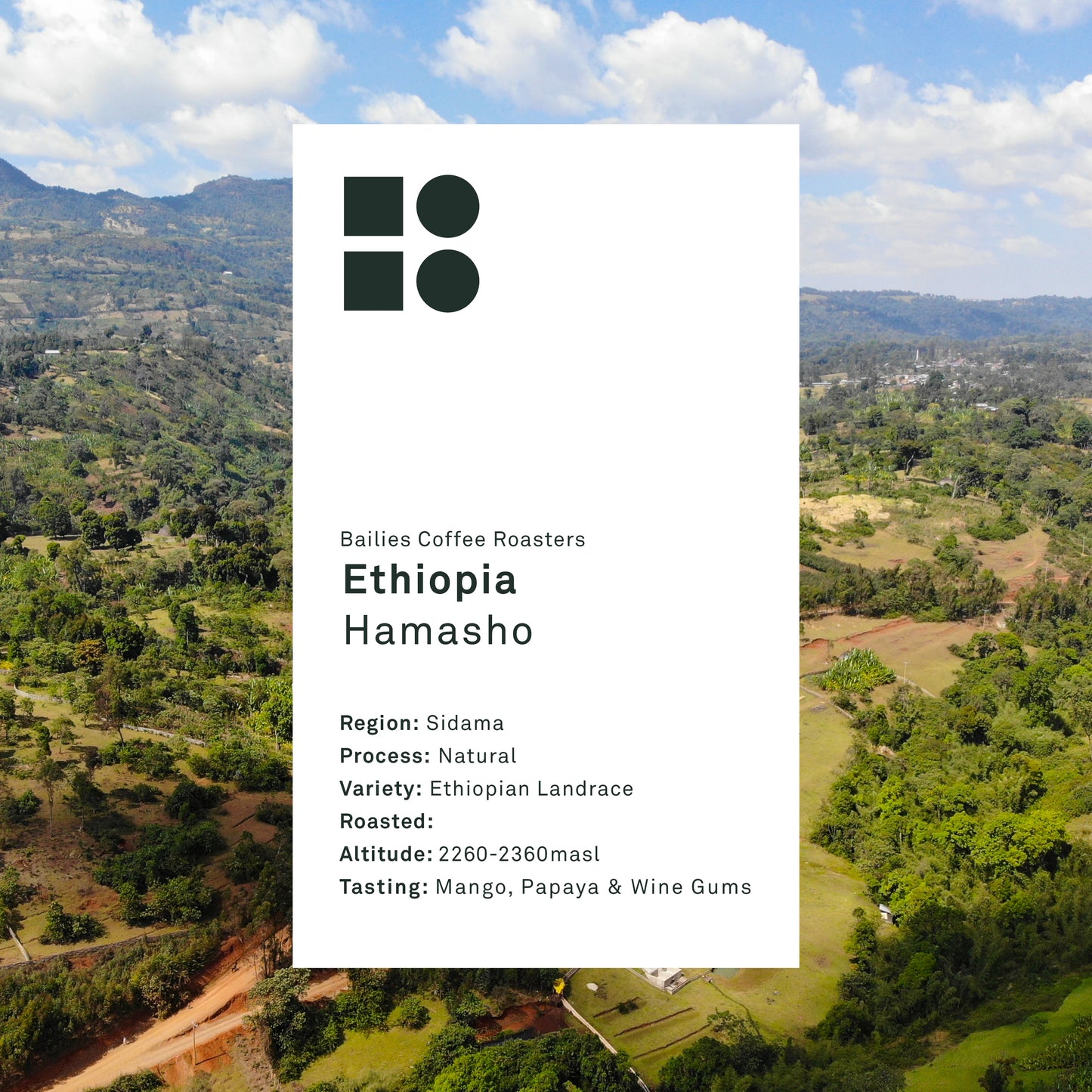 Ethiopia Hamasho Natural Microlot