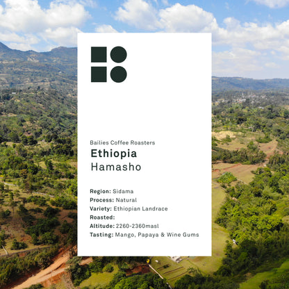 Ethiopia Hamasho Natural Microlot