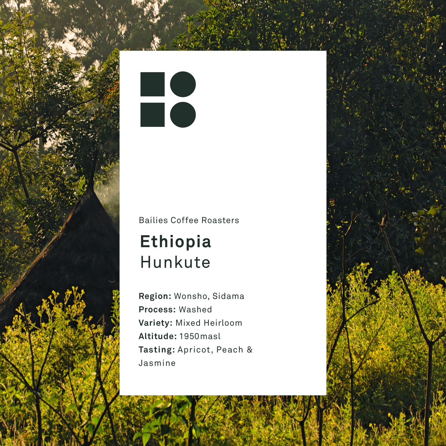 Ethiopia Hunkute Washed Single Origin