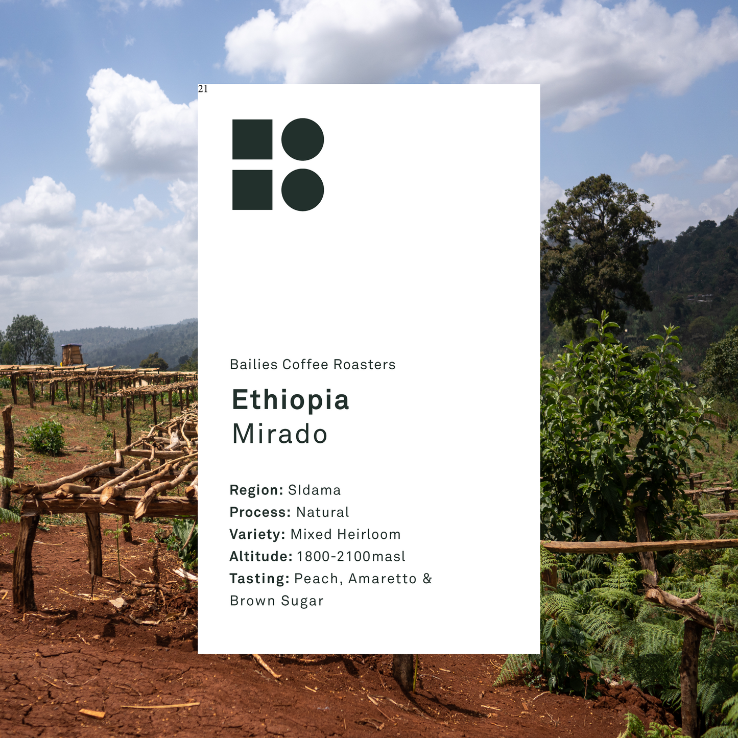 Ethiopia Mirado Natural Single Origin