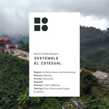 Guatemalan coffee, new coffee release, specialty coffee, ground coffee, coffee beans, 1kg bag of coffee, 250g bag coffee beans, espresso beans, flat white, fair trade coffee, direct trade coffee