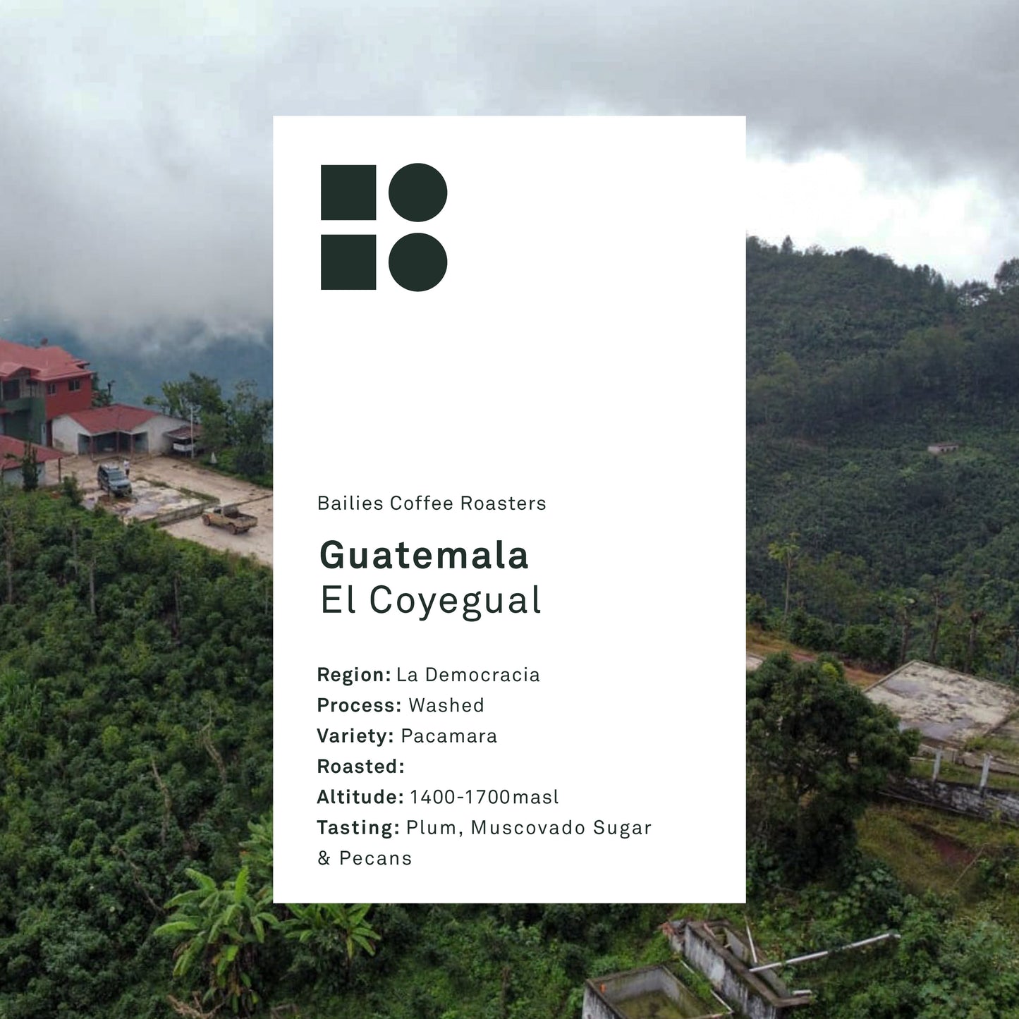 Guatemala El Coyegual Washed Microlot