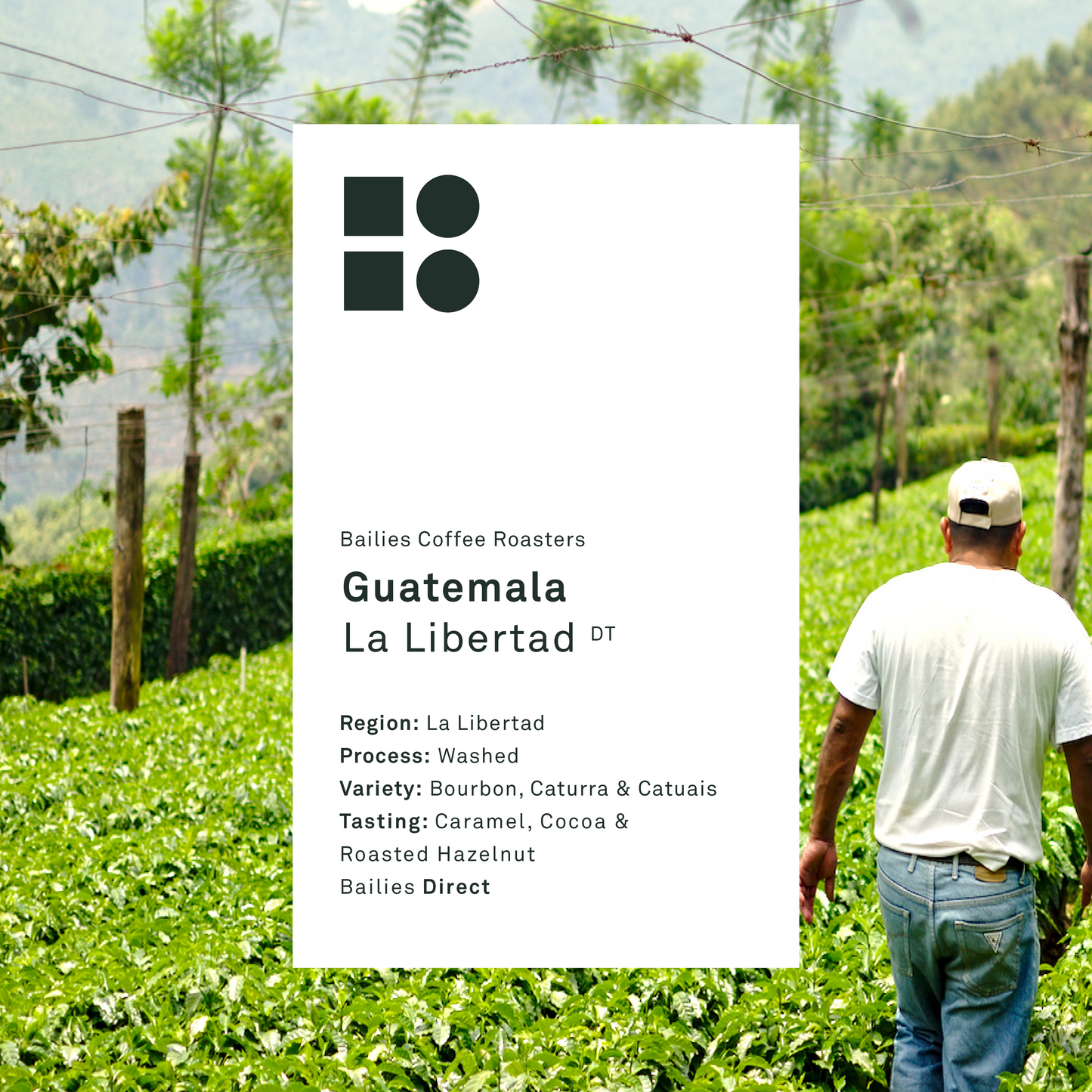 Guatemala La Libertad Washed Single Origin