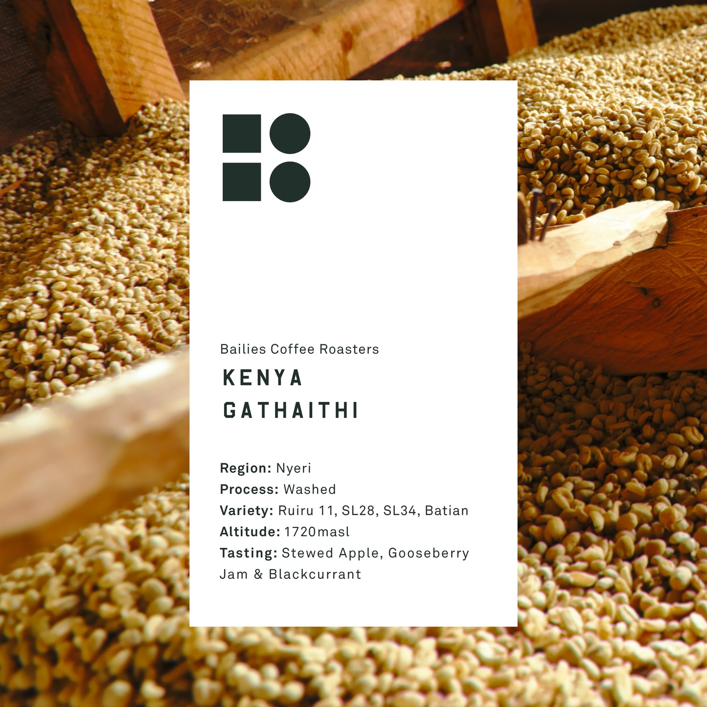 Kenya Gathaithi Washed Microlot