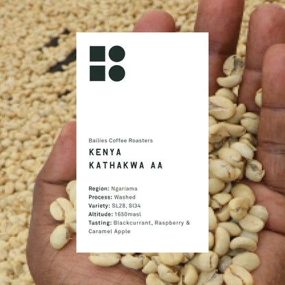 Kenya Kathakwa AA Washed Microlot