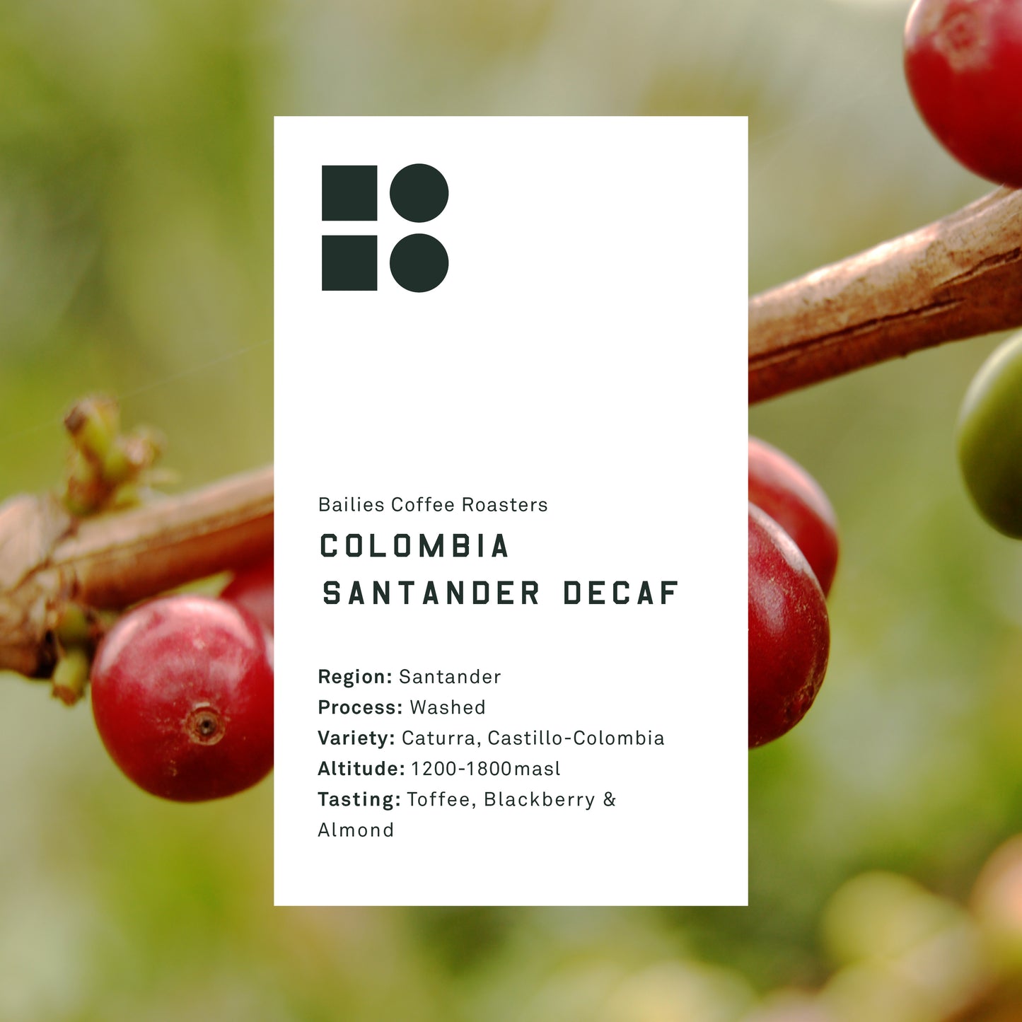 Colombia Santander Decaf Washed Single Origin