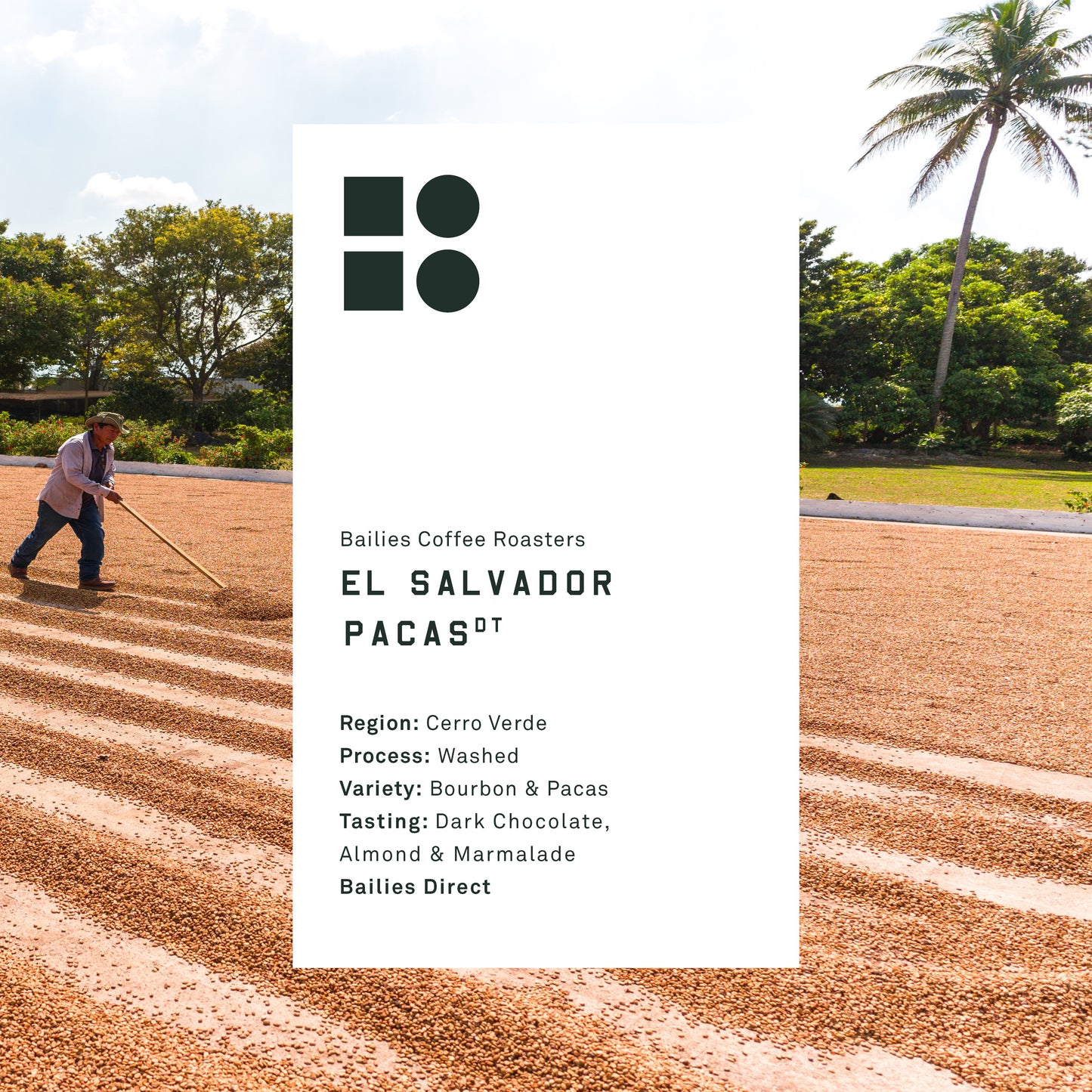 El Salvador Pacas Washed Single Origin