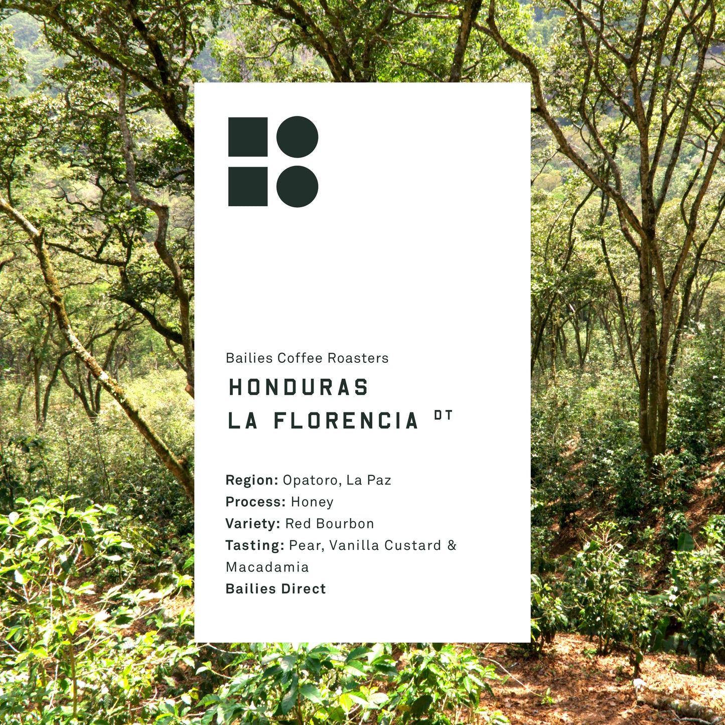 Honduras La Florencia Honey Microlot