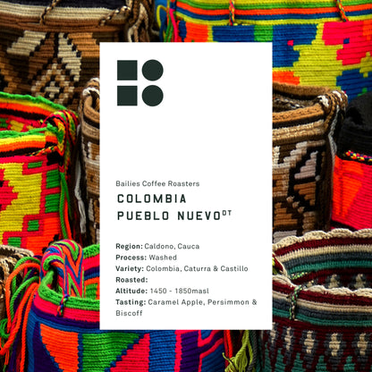 Colombia Pueblo Nuevo Washed Microlot