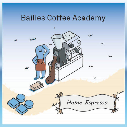 Bailies Home Espresso Workshop