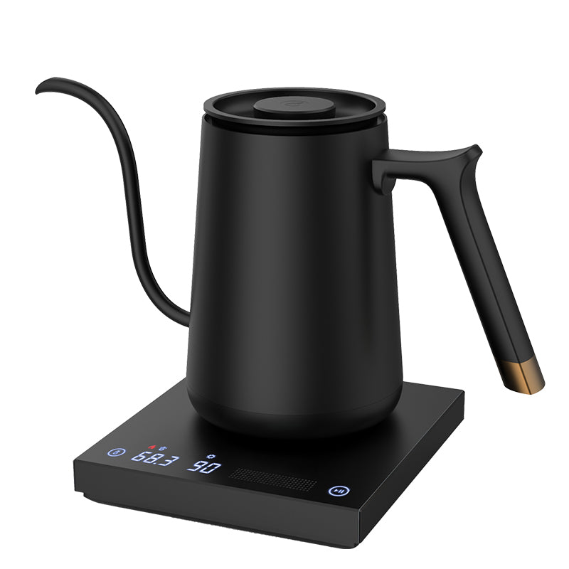 Electric kettle for coffee best sale